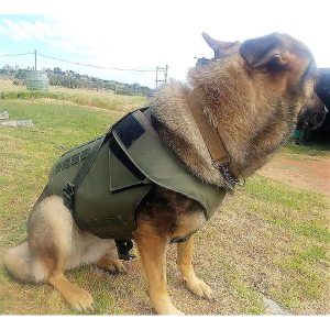 BULLET PROOF VEST - K9 BULLET PROOF VEST FULL WRAP LEVEL IIIA